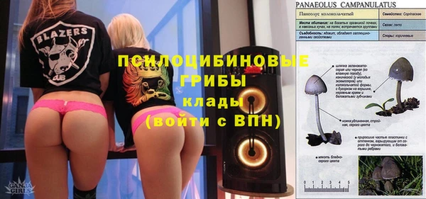 амфетамин Алексин